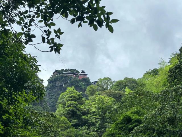 首页|5001拉斯维加斯集团官方网站