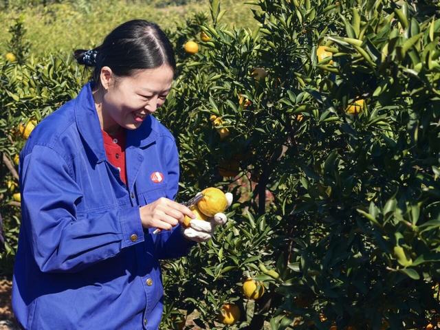 首页|5001拉斯维加斯集团官方网站