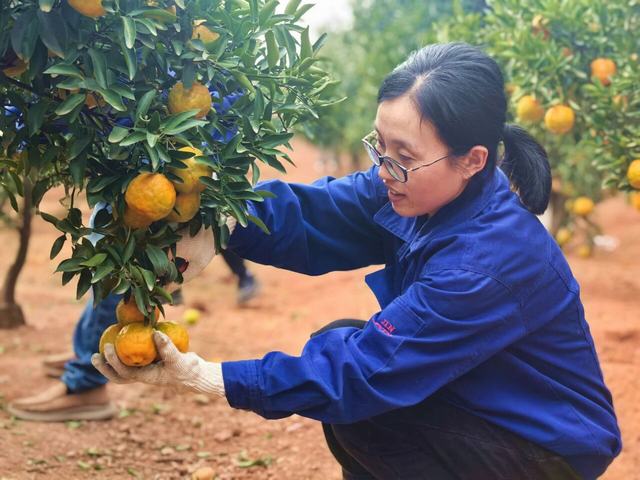 首页|5001拉斯维加斯集团官方网站