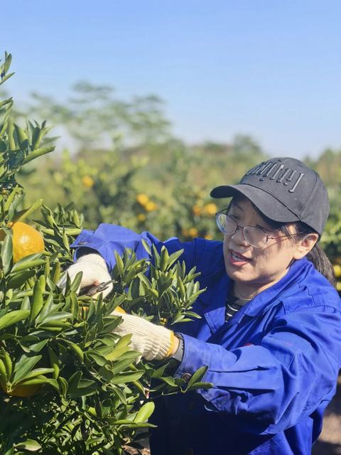 首页|5001拉斯维加斯集团官方网站