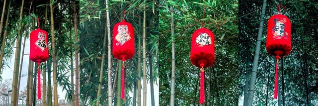 首页|5001拉斯维加斯集团官方网站