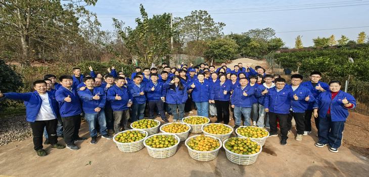 afm202502121018027NE