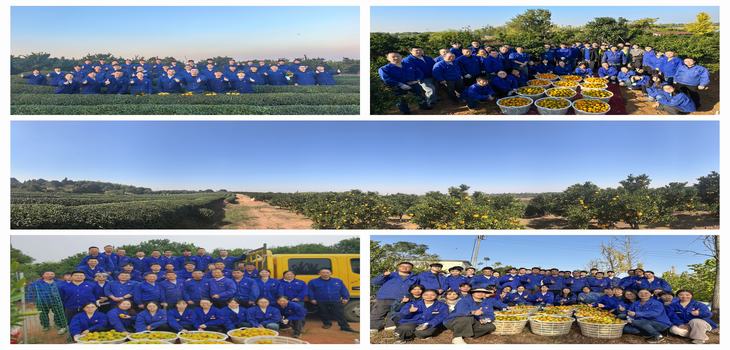 afm20251129112734tk3